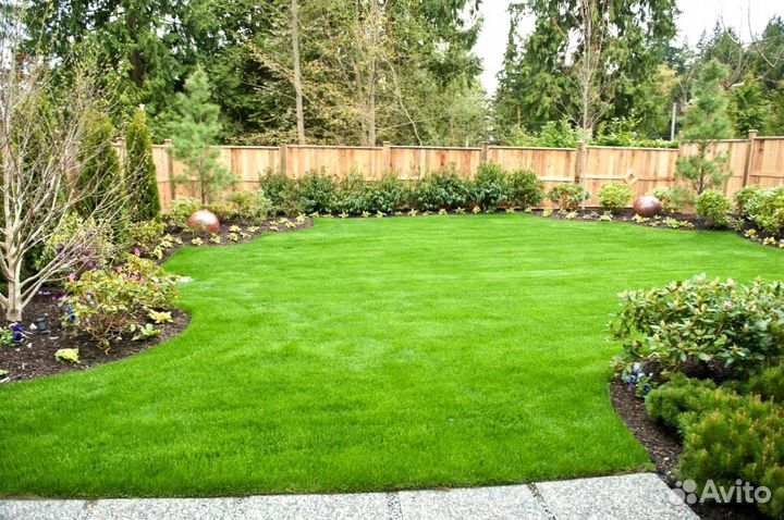 Рулонный газон от производителя - укладка