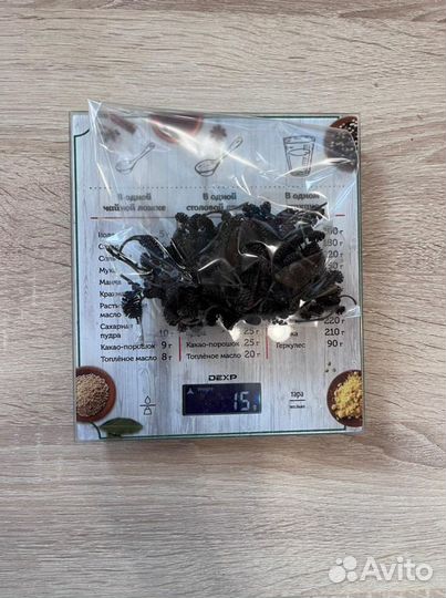 Ольховые шишки