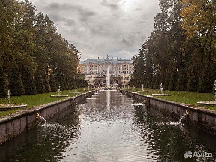 Поездка в Санкт-Петербург от 7 нч