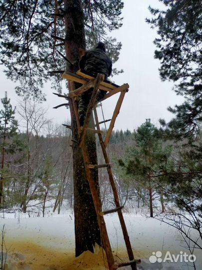 Колода для пчел, изготовление бортей