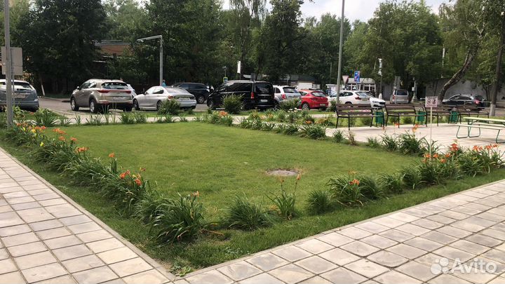 Дворник жкх