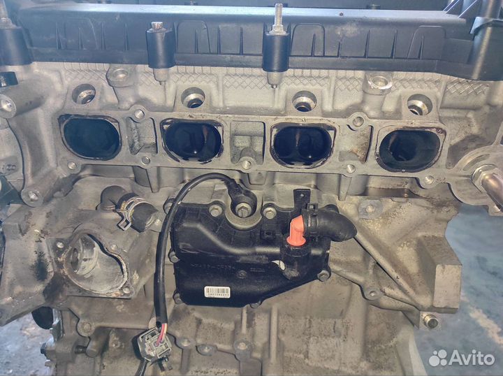 Двигатель qqdb qqda 1,8 Ford Focus 2