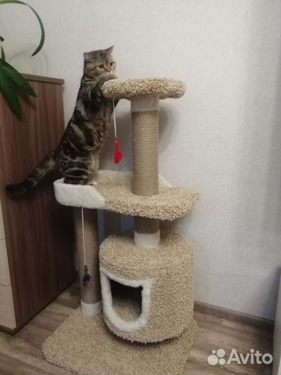 Домик для кошки с когтеточкой