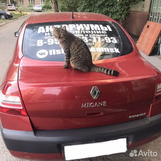 Обслуживание аквариумов