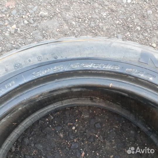 Nexen Winguard 231 205/55 R16
