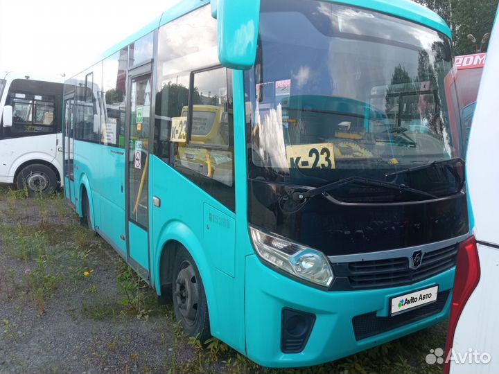 Городской автобус ПАЗ Вектор Next, 2020