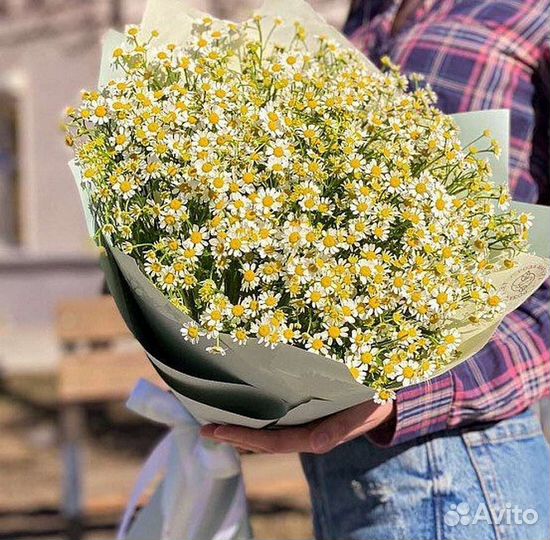 Полевые ромашки, букеты с доставкой