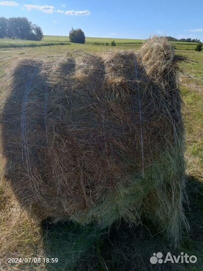 Сено в рулонах