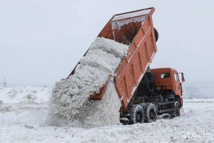 Услуги / Аренда Самосвала