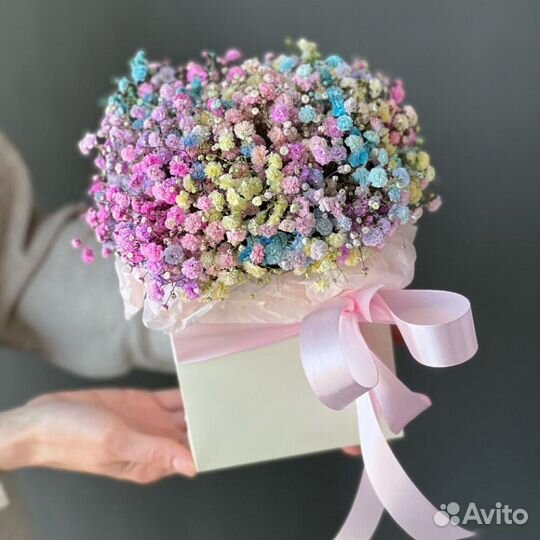 Гипсофила радужная в коробке