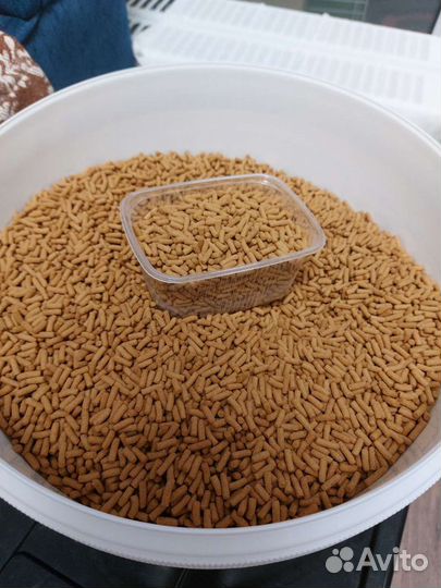 Корм для рыб