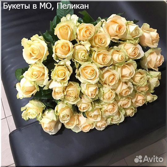 Цветы розы