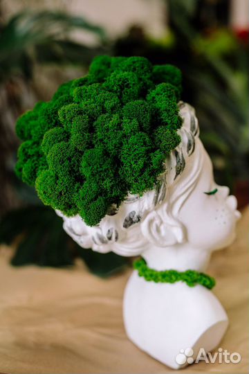 Стабилизированный мох статуэтка