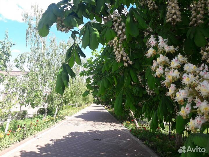 Телефон Samsung galaxy a5 2016