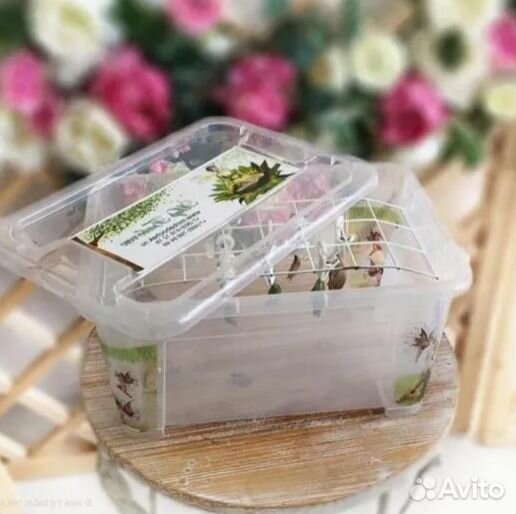 Детская Миниферма Тропических Бабочек ф/б-103 CD