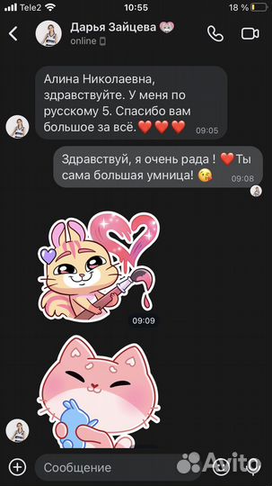 Репетитор по русскому языку и литературе