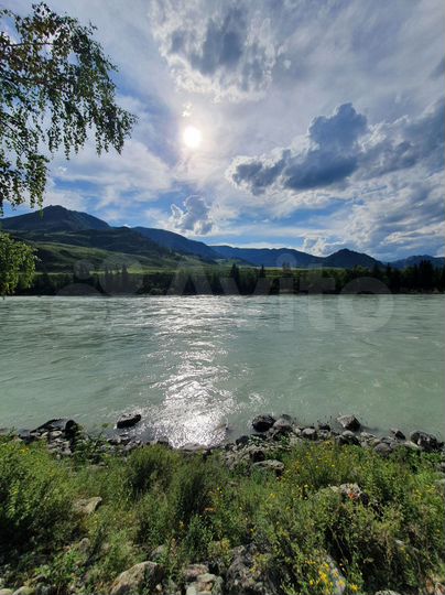 Участок 80 сот. (СНТ, ДНП)