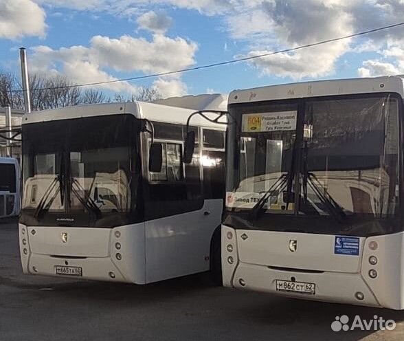 Водитель автобуса