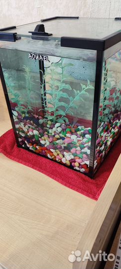 Аквариум