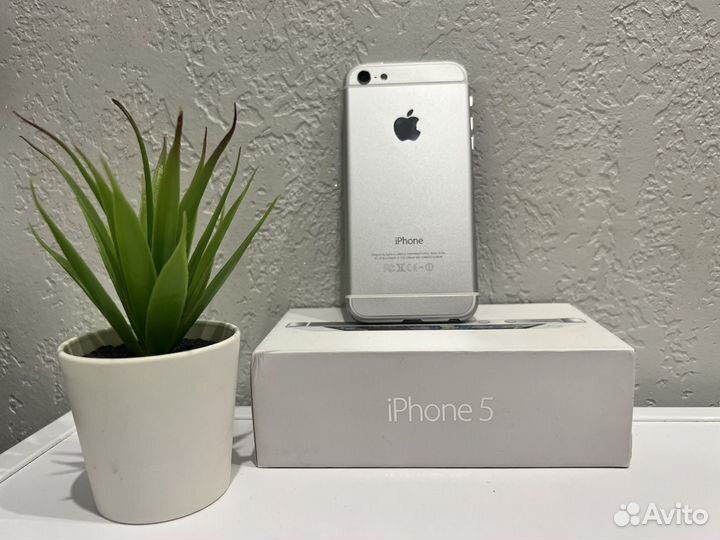 iPhone 5, 16 ГБ