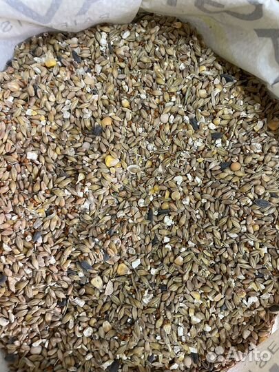 Зерно, Комбикорм, Отруби для кур и с/х животных