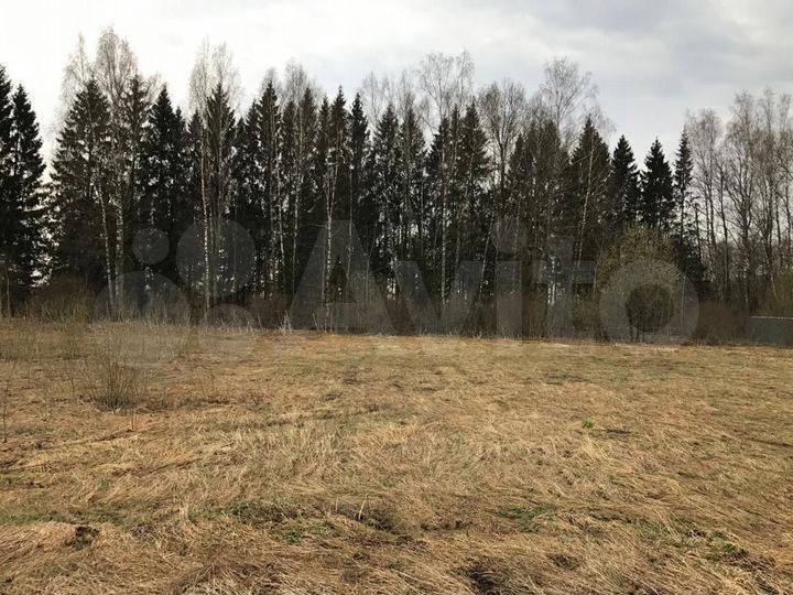 Участок 25 сот. (СНТ, ДНП)
