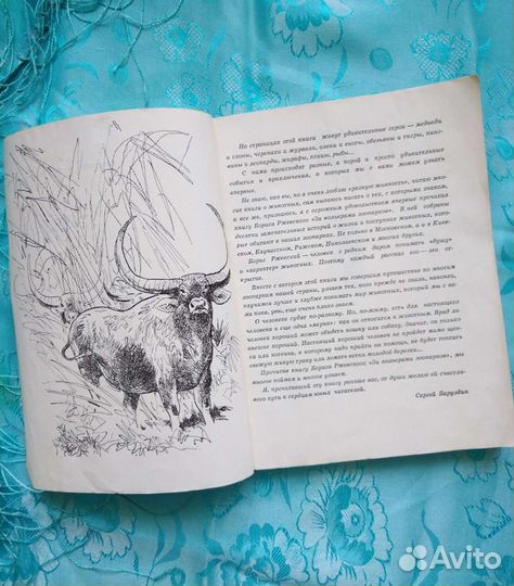 За вольерами зоопарков (1974)