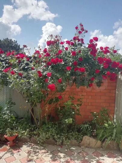 Дом 30 м² на участке 3,5 сот.