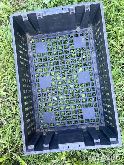 Ящик пластмассовый