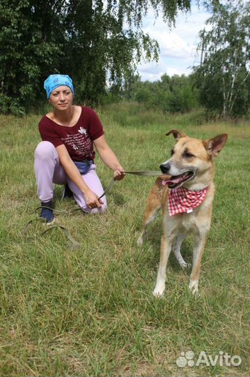 Дружелюбная и ласковая Шейла не доставит хлопот