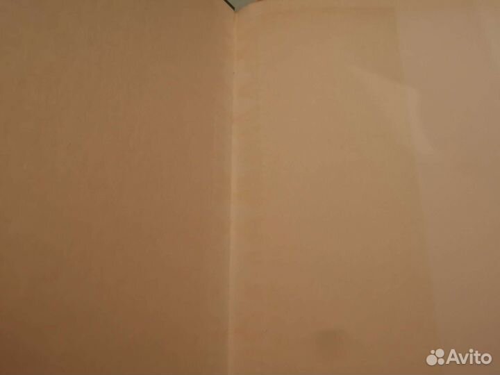 Французский портрет 19 века