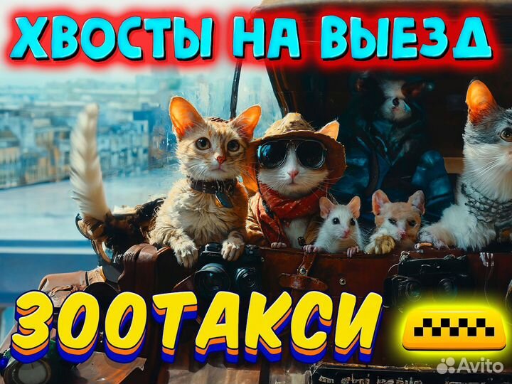 Зоотакси, перевозка животных