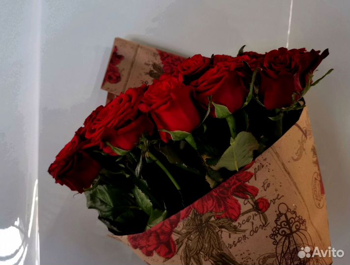 Розы, букет цветов, 101 роза, 51 роза. Розы опт