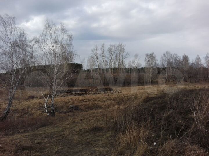 Участок 22 сот. (СНТ, ДНП)