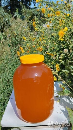 Мед пчелиный