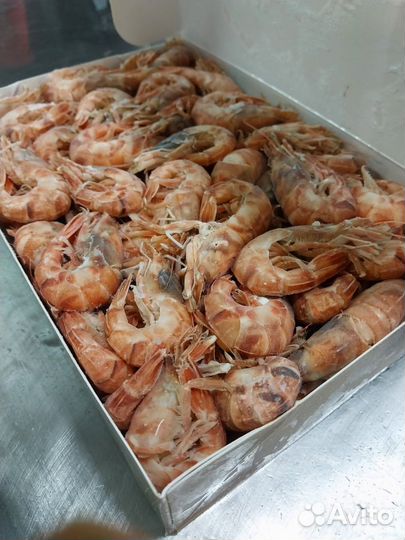 Рыба и морепродукты