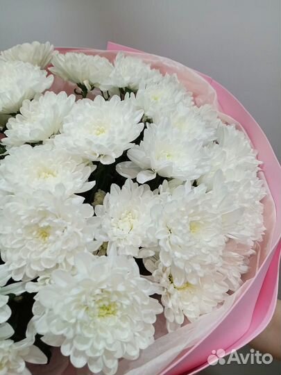 Букет из белых хризантем