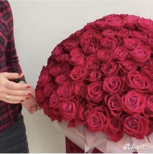 Розы 101 штука в цилиндре