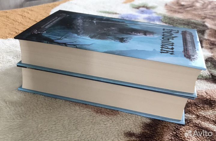 Ведьмак. Анджей Сапковский. Изд. аст