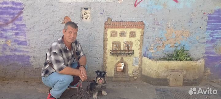 ВНЖ Испании. Иммиграция в Испанию