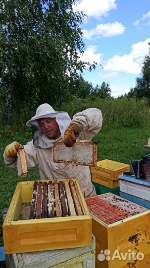 Канди, медовое тесто для пчел