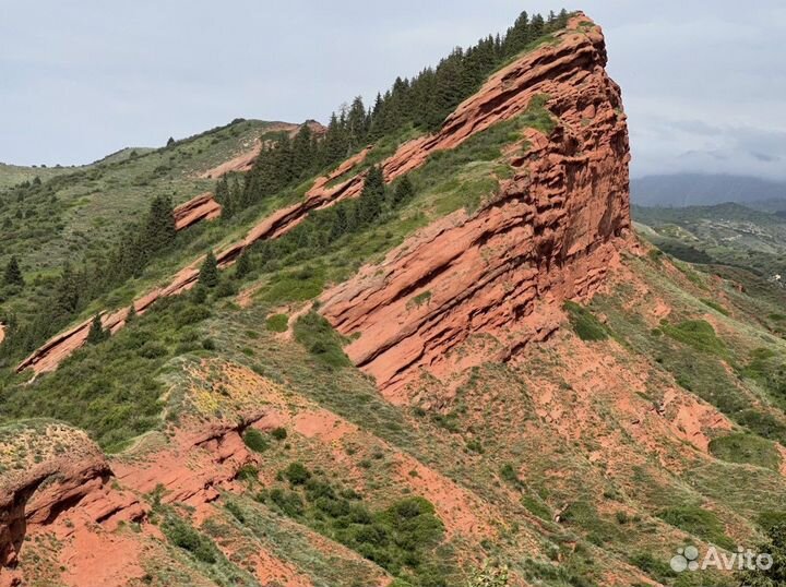 Бишкек Топ-Экскурсия вкиргизию заэмоциями: конная