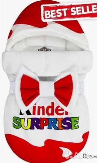 Конверт на выписку + комбинезон