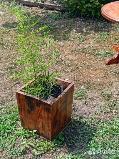 Работы с деревом