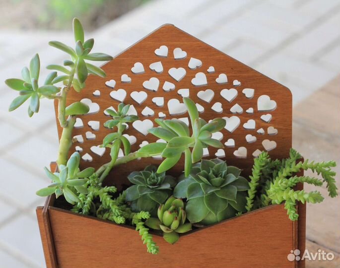 Флорариумы