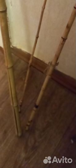 Бамбуковые удочки СССР