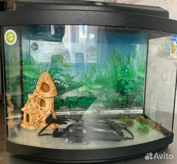 Аквариум