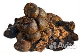 Конский навоз