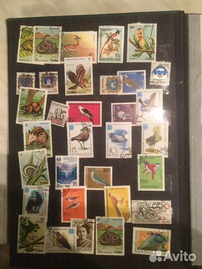 Три альбома. Почтовые марки