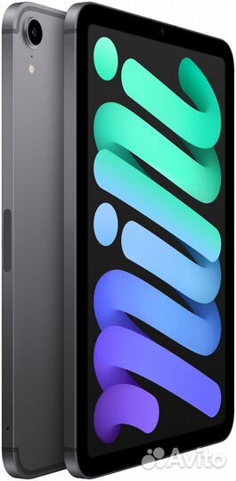 iPad mini 6 64Gb Gray